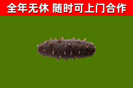 曲靖烟酒回收干海参.jpg